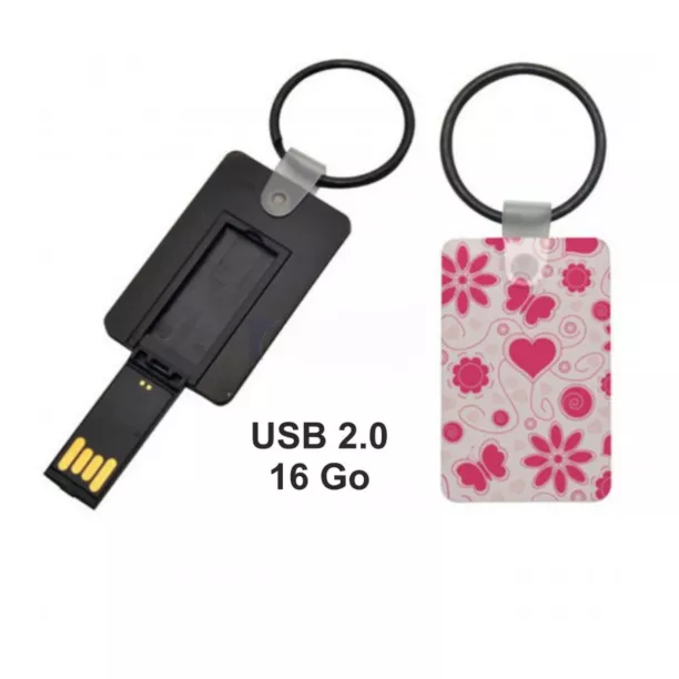 Clé USB Porte-clé (ADC467)
