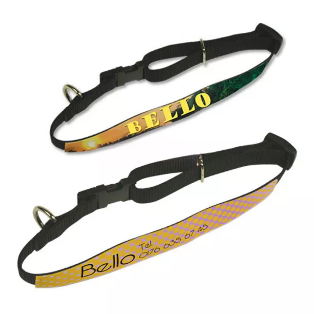 Collier pour animaux (ADC470)