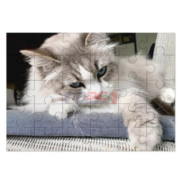 Puzzle en bois (ADC217)
