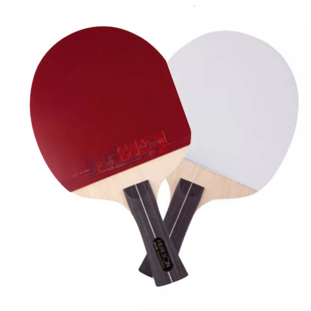 Raquette de ping pong