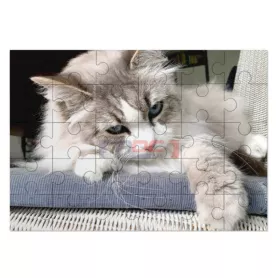 Puzzle en bois (ADC217)